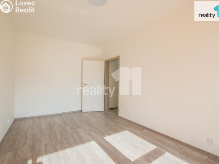 Pronájem bytu 2+1 Liberec, Skalní č. 12