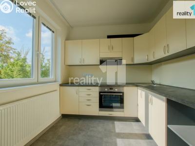 Pronájem bytu 2+1 Liberec, Skalní č. 1