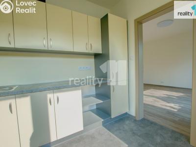 Pronájem bytu 2+1 Liberec, Skalní č. 3