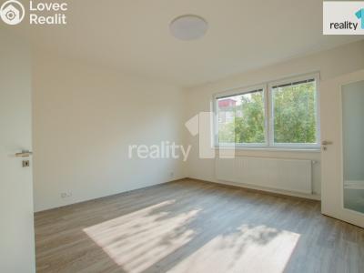Pronájem bytu 2+1 Liberec, Skalní č. 5