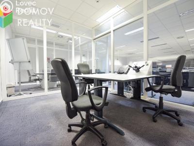 Rent office space Zdice č. 5