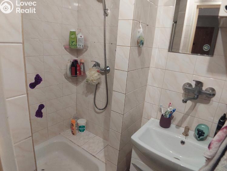 Prodej bytu 2+1 Veselí nad Lužnicí, Nádražní č. 10