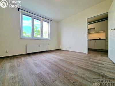 Prodej bytu 1+1 Brno, Bratislavská č. 2