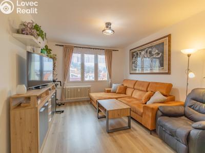 Pronájem bytu 3+1 Sušice, Tichá 871 č. 4