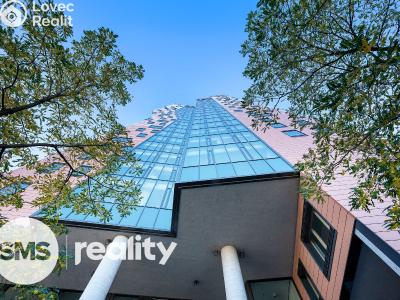 Pronájem atypického bytu Brno, Pražákova č. 4