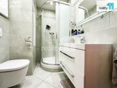 Pronájem bytu 2+1 Holešov, Novosady č. 4