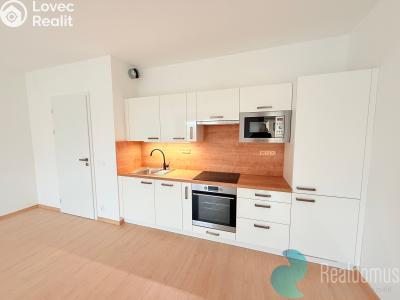 Аренда квартиры 2+KK České Budějovice, Hálkova č. 2