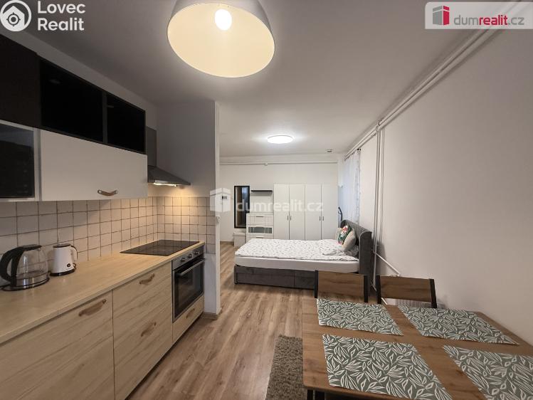 Pronájem bytu 1+KK Tisá č. 31