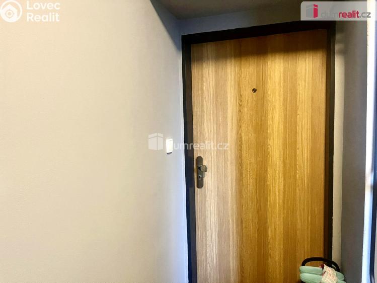 Pronájem bytu 1+KK Tisá č. 44