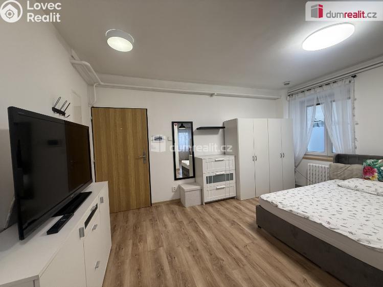 Pronájem bytu 1+KK Tisá č. 10