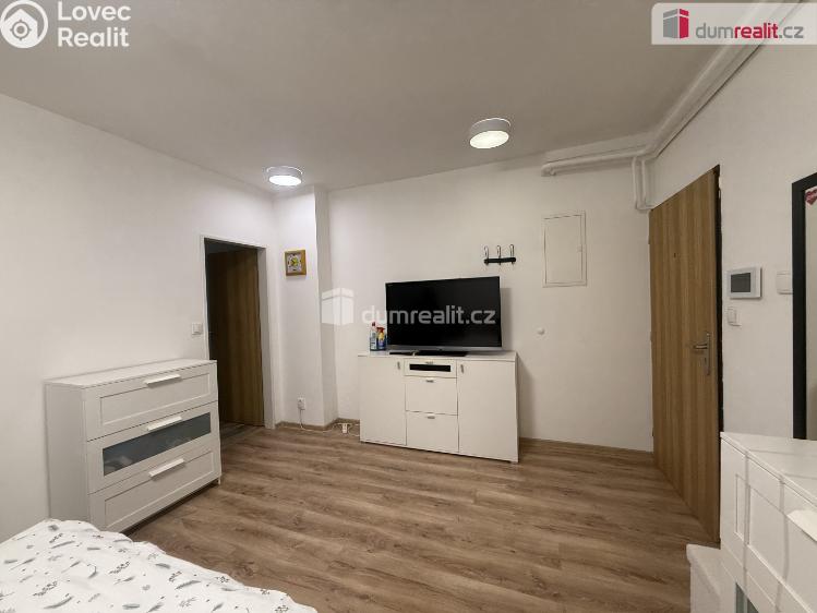 Pronájem bytu 1+KK Tisá č. 29