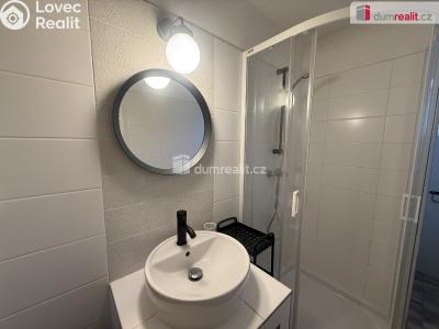 Pronájem bytu 1+KK Telnice č. 5