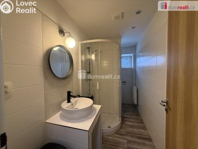 Pronájem bytu 1+KK Telnice č. 6