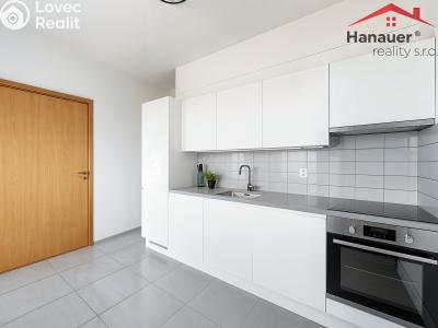 Prodej bytu 3+1 Děčín, Weberova č. 2