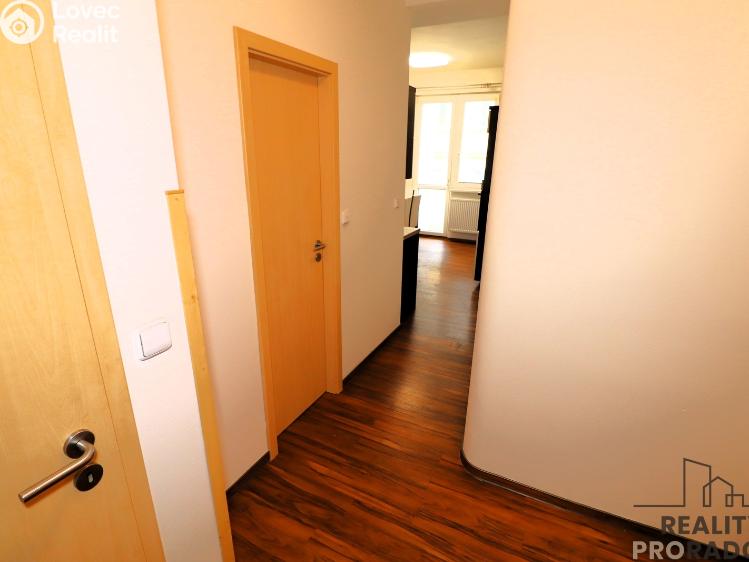 Аренда квартиры 2+1 Brno, Antonínská č. 11