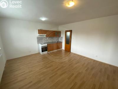 Аренда квартиры 2+KK Dobrá Voda u Českých Budějovic, U Rybníka č. 2