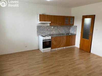 Аренда квартиры 2+KK Dobrá Voda u Českých Budějovic, U Rybníka č. 3