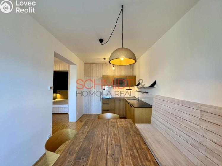 Pronájem bytu 1+KK Mikulov, Purkyňova 252/1a č. 7