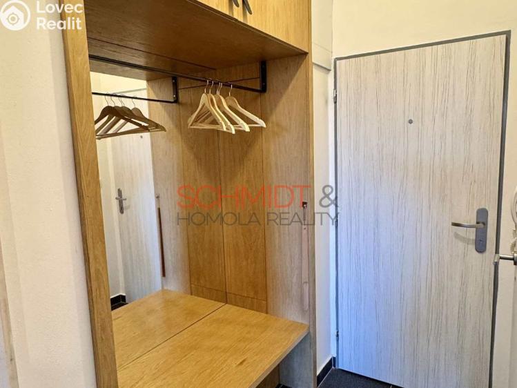 Pronájem bytu 1+KK Mikulov, Purkyňova 252/1a č. 8