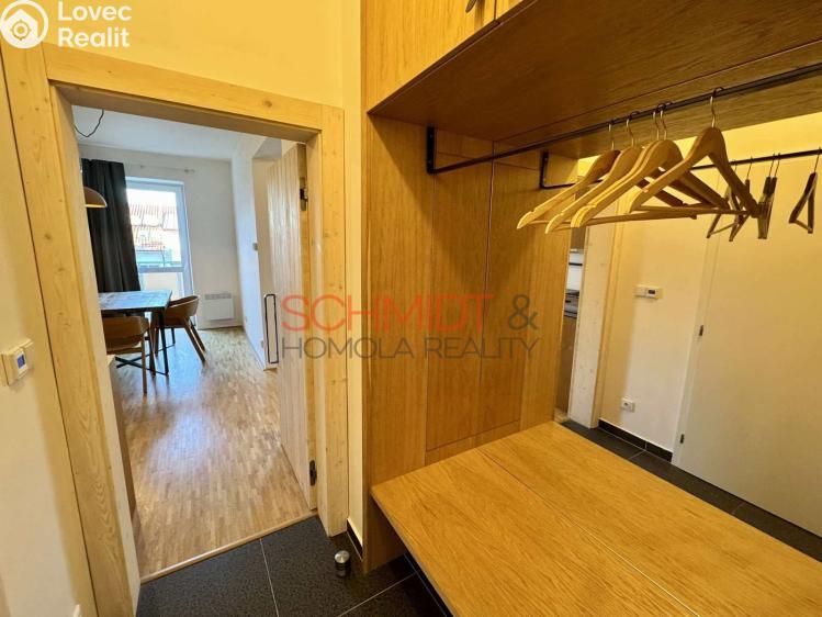 Pronájem bytu 1+KK Mikulov, Purkyňova 252/1a č. 9