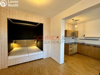 Pronájem bytu 1+KK Mikulov, Purkyňova č. 5