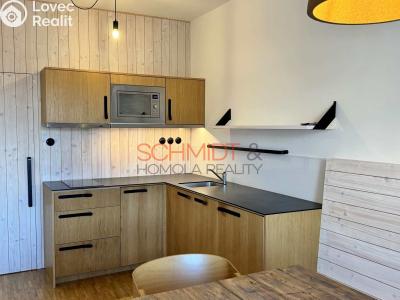 Pronájem bytu 1+KK Mikulov, Purkyňova č. 6