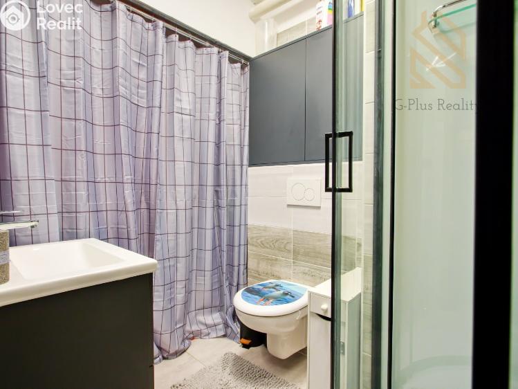 Продаж сімейного будинку Zlonín, Modřínová č. 38