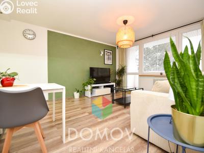 Pronájem bytu 3+KK Zdice, Velizská č. 1