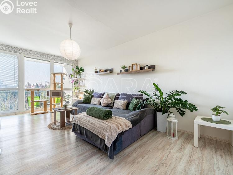 Pronájem bytu 3+1 Kaplice, 1. máje 769 č. 15