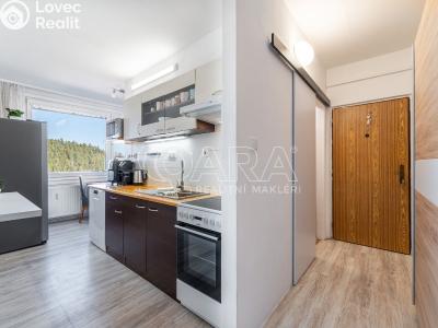 Pronájem bytu 3+1 Kaplice, 1. máje 769 č. 1