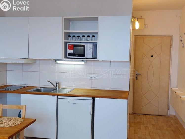 Pronájem bytu 1+KK Brno, Voroněžská č. 2