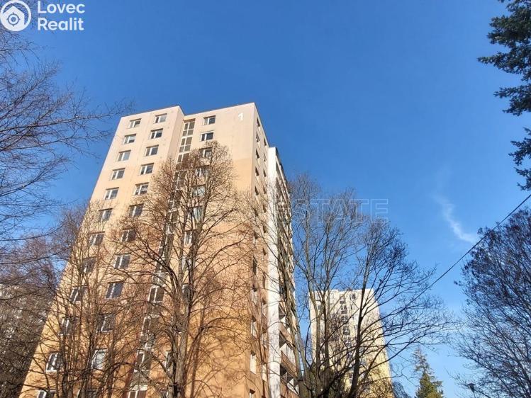 Pronájem bytu 1+KK Brno, Voroněžská č. 6