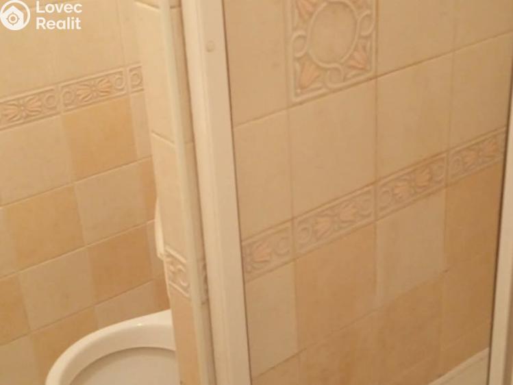 Pronájem bytu 1+KK Praha, Ve Střešovičkách č. 5