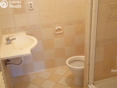 Pronájem bytu 1+KK Praha, Ve Střešovičkách č. 3