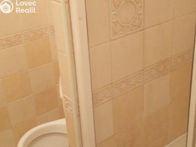 Pronájem bytu 1+KK Praha, Ve Střešovičkách č. 5