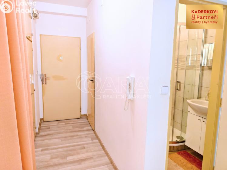 Pronájem bytu 3+1 Blansko č. 15