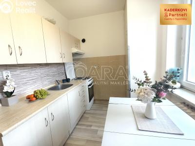 Pronájem bytu 3+1 Blansko č. 1