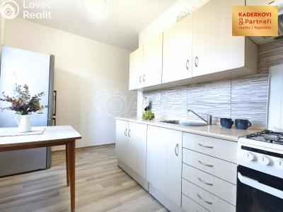 Pronájem bytu 3+1 Blansko č. 6