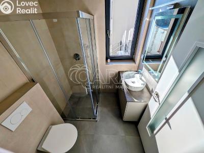 Продажа семейного дома Plzeň, Na Roudné č. 4