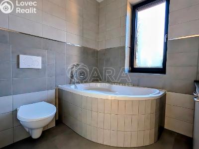 Продаж сімейного будинку Plzeň, Na Roudné č. 6