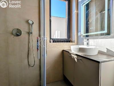 Продажа семейного дома Plzeň, Na Roudné č. 5