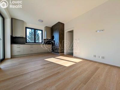 Продажа семейного дома Plzeň, Na Roudné č. 6