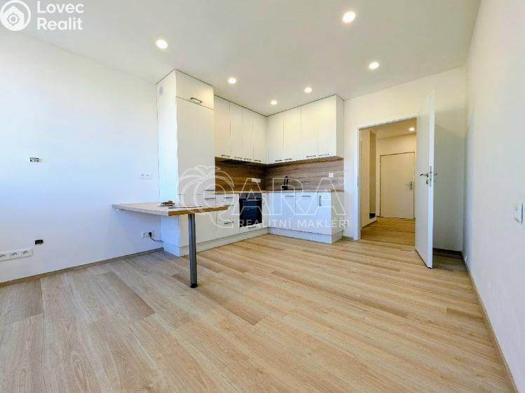 Prodej bytu 3+KK Plzeň, Lábkova 892/14 č. 3