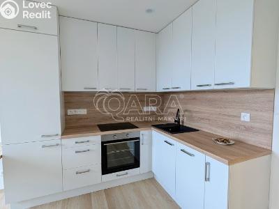 Prodej bytu 3+KK Plzeň, Lábkova č. 3