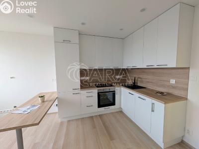 Продажа квартиры 3+KK Plzeň, Lábkova č. 1