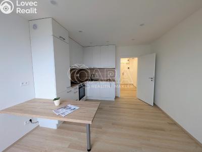 Prodej bytu 3+KK Plzeň, Lábkova č. 4