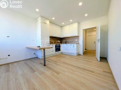 Prodej bytu 3+KK Plzeň, Lábkova č. 3