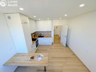 Prodej bytu 3+KK Plzeň, Lábkova č. 4