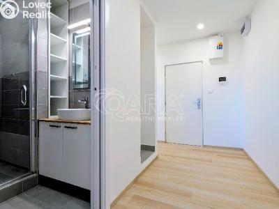 Продажа квартиры 3+KK Plzeň, Lábkova č. 9
