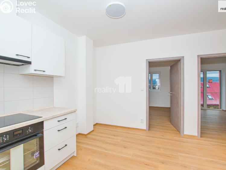 Pronájem bytu 1+KK Liberec, Londýnská č. 26